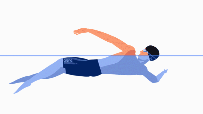 شنای-کرال-پشت