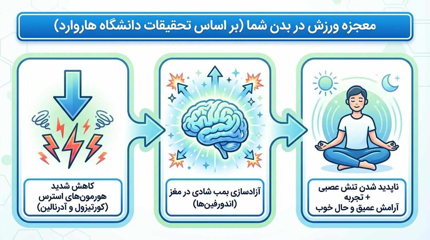 تاثیر تفریحات ورزشی بر کاهش استرس