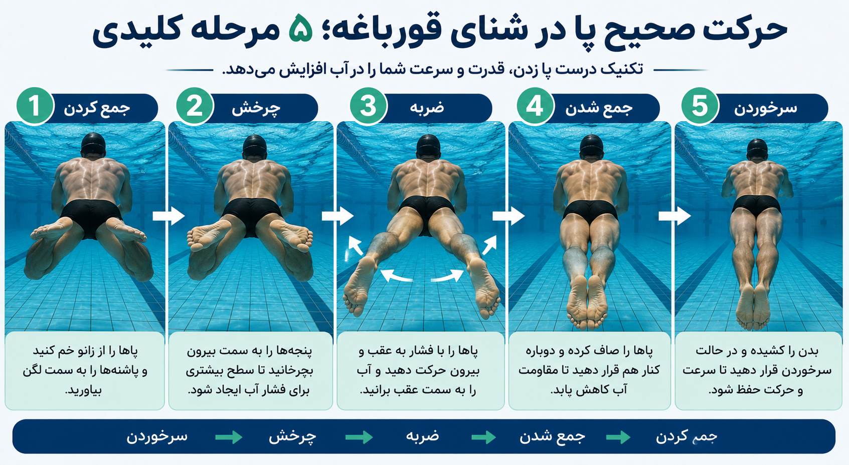 آموزش شنای قورباغه به زبان ساده؛ تکنیک، تنفس و اشتباهات رایج
