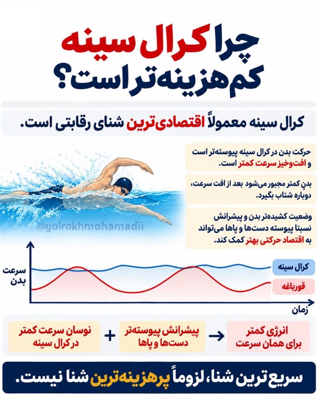 کدام شنا کالری بیشتری می سوزاند؟ مقایسه مصرف انرژی ۴ سبک شنا