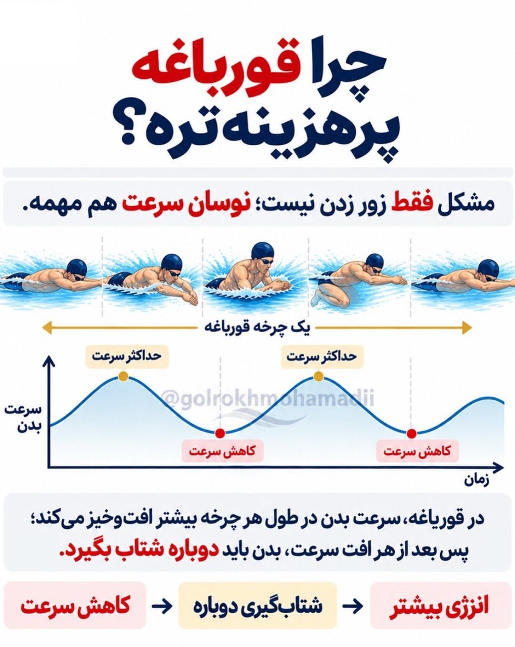 کدام شنا کالری بیشتری می سوزاند؟ مقایسه مصرف انرژی ۴ سبک شنا
